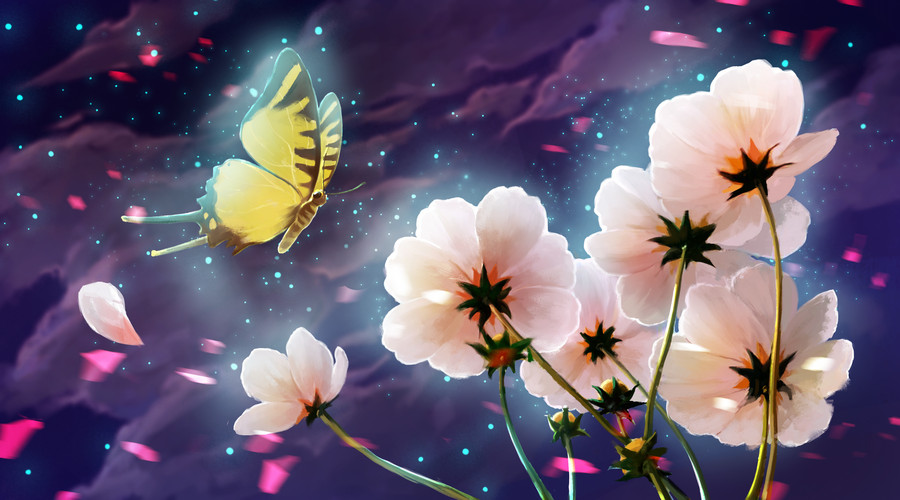 ϵ˵˵ͼƬͼʲô